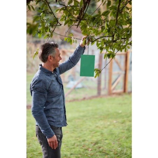 STV  Plum Maggot Trap Refill - Twinpack