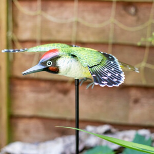 La Hacienda - Inquisitive Woodpecker on Stake