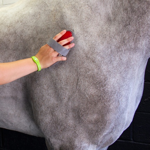Red  Gorilla - Grooming  - Body brush