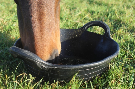 Red  Gorilla - Rubber Type Baskets & Skips - Medium